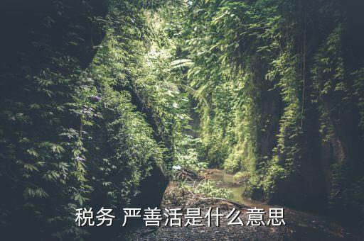 中國稅務精神是什么意思，稅務是什么意思啊學什么內(nèi)容