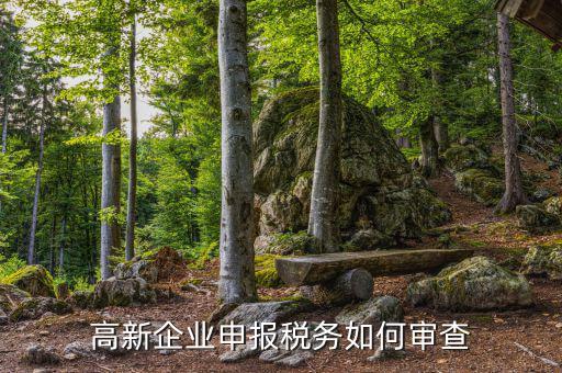 高企稅務(wù)審查查什么用，稅務(wù)檢查簽證有什么作用