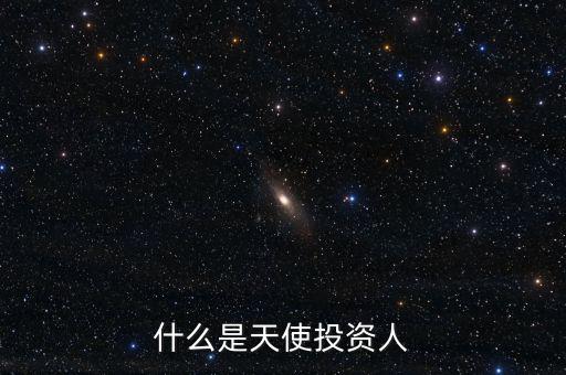 什么叫天使投資個(gè)人，天使投資人什么意思