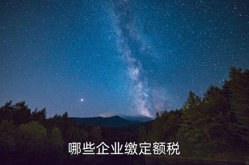 什么公司定額征稅，哪些企業(yè)繳定額稅