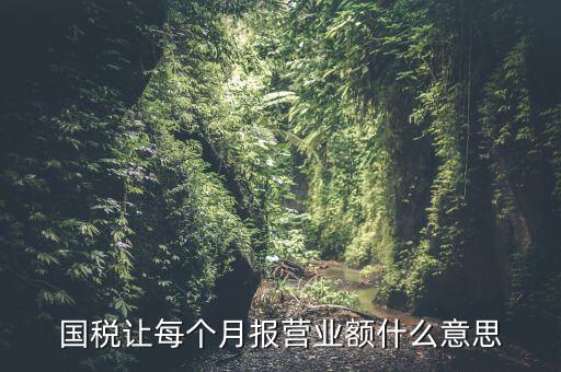 國稅每月報(bào)稅的是什么意思，請(qǐng)問每月抄稅和報(bào)稅各是什么意思