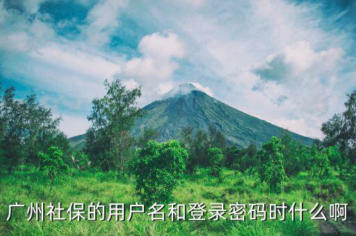 地稅社保用戶名是什么，南京這邊可以國稅扣稅款一個賬號基本戶地稅扣款比如社保