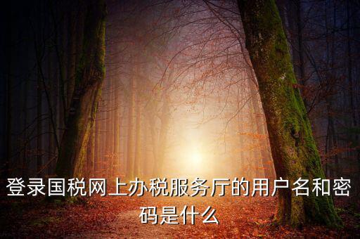 稅務(wù)登陸密碼是什么意思，國稅第一次網(wǎng)上申報的登陸密碼是什么