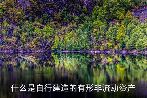 什么叫自建不動產(chǎn)，自建不動產(chǎn)不共擔(dān)風(fēng)險的投資行為