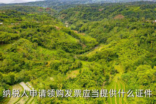 納稅人申請領(lǐng)購發(fā)票應(yīng)當提供什么證件