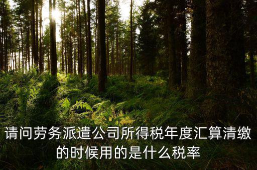 派遣選擇什么稅目，勞務(wù)派遣公司應(yīng)交什么稅種