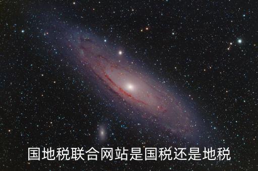 國地稅聯(lián)合辦稅是什么，國地稅聯(lián)合稅費申報什么意思