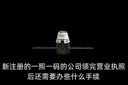 一照一碼后還需辦什么，網(wǎng)上申請(qǐng)一照一碼必須要經(jīng)辦人的U盾嗎