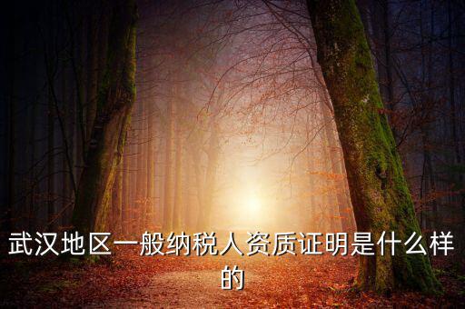 納稅資質(zhì)證明是什么意思，什么是稅務證明
