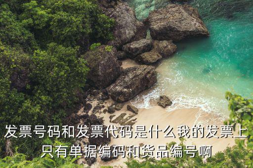 發(fā)票代號是什么，發(fā)票紙質(zhì)代碼是什么意識
