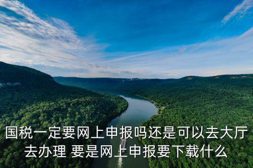地稅進國稅要下載什么，深圳國地稅想網(wǎng)上申報要下載什么東西嗎