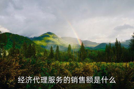什么是經(jīng)濟代理，請問什么叫經(jīng)濟合同代理人