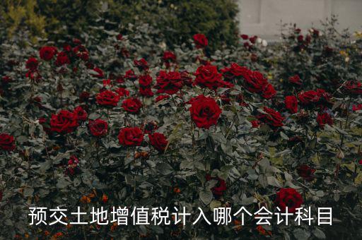 預(yù)交土地增值稅計(jì)入哪個(gè)會計(jì)科目
