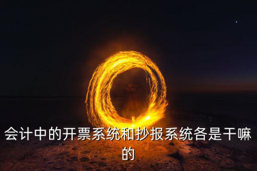 報稅開票系統(tǒng)是什么，什么是開票系統(tǒng)小規(guī)模納稅人有裝開票系統(tǒng)嗎在線等謝謝