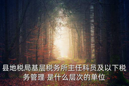 地稅局主任干什么，在地稅局工作寫材料具體是怎么工作