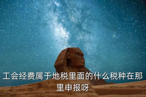 工會活動費(fèi)中稅是什么，工會經(jīng)費(fèi)屬于地稅里面的什么稅種在那里申報(bào)呀