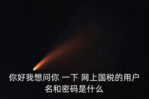 國稅的登錄密碼是什么意思，國稅第一次網(wǎng)上申報的登陸密碼是什么