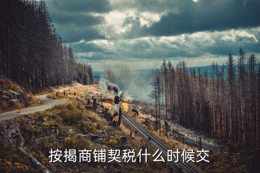 商鋪租賃稅什么時候交，租賃店鋪一般首次需要繳納幾個月的租金