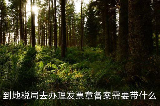 去地稅局備案需要什么，地稅備案需要什么資料
