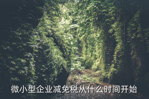 微小型企業(yè)減免稅從什么時(shí)間開(kāi)始