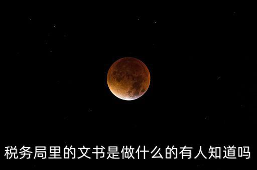 稅務(wù)文書是什么，急需稅務(wù)文書格式