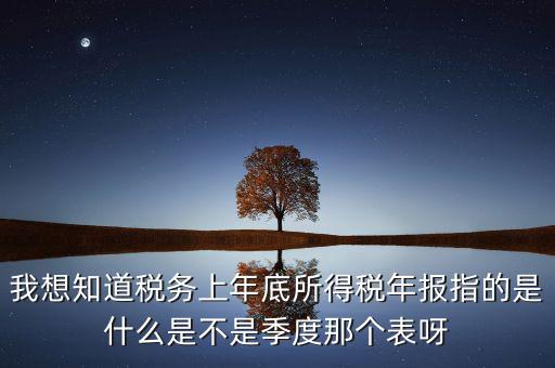 我想知道稅務(wù)上年底所得稅年報(bào)指的是什么是不是季度那個表呀