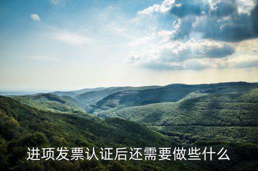 核定發(fā)票后發(fā)行后還坐什么，認(rèn)證完發(fā)票在干什么