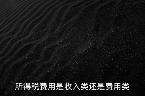 所得稅屬于什么費用，所得稅費用是收入類還是費用類