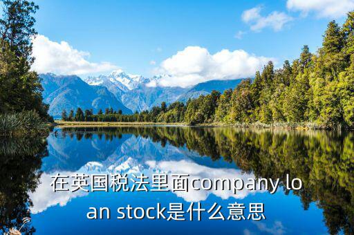 英國出國稅 是什么意思，在英國稅法里面company loan stock是什么意思