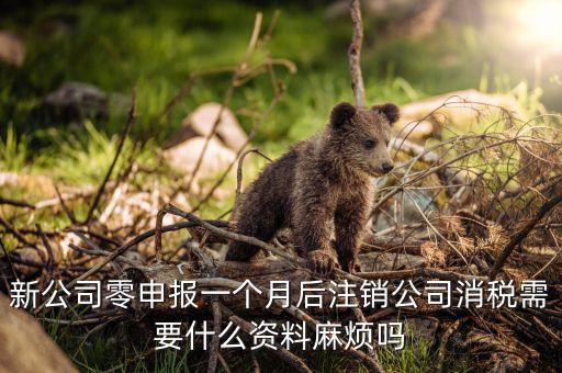 注銷(xiāo)稅盤(pán)需要什么資料，新公司零申報(bào)一個(gè)月后注銷(xiāo)公司消稅需要什么資料麻煩嗎
