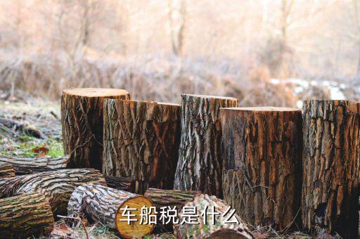 保險的車船稅是什么意思，車船稅是什么