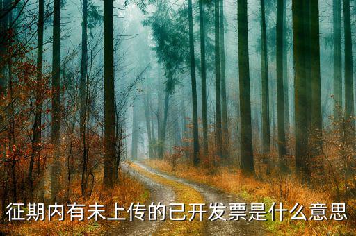 發(fā)票征期什么意思，征期內(nèi)有未上傳的已開發(fā)票是什么意思