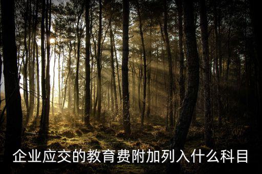 教育費(fèi)附加干什么，教育費(fèi)附加代表什么意思
