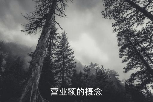 營(yíng)業(yè)額指的是什么，招標(biāo)文件中的營(yíng)業(yè)額指的是利潤(rùn)表中的主營(yíng)業(yè)務(wù)收入嗎