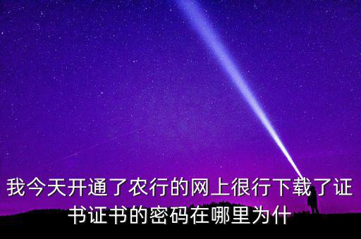 查看證書密碼是什么原因，我今天開通了農(nóng)行的網(wǎng)上很行下載了證書證書的密碼在哪里為什
