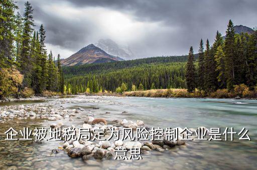 國稅風(fēng)控是什么意思，查詢發(fā)票顯示周邊風(fēng)險的意思