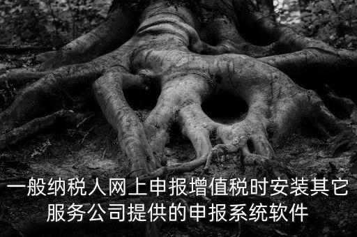 一般納稅人網(wǎng)上申報(bào)增值稅時安裝其它服務(wù)公司提供的申報(bào)系統(tǒng)軟件
