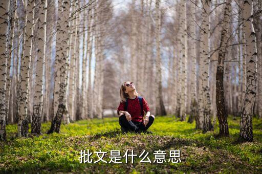 免稅批文是什么，批文是什么意思