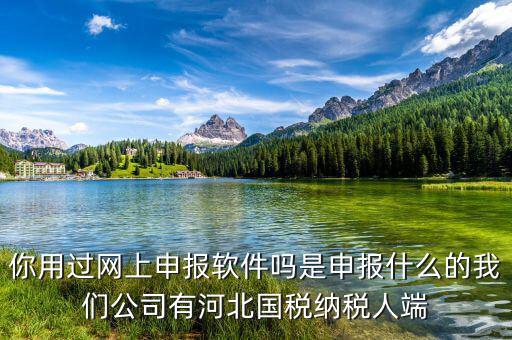 國(guó)稅人像采集是什么意思，你用過網(wǎng)上申報(bào)軟件嗎是申報(bào)什么的我們公司有河北國(guó)稅納稅人端