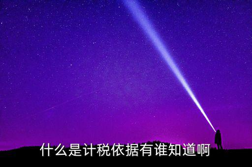 什么是計(jì)稅依據(jù)有誰知道啊