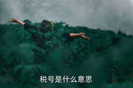 納稅號碼是什么意思，稅號是什么意思