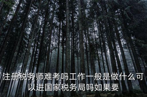 什么是稅務(wù)師，注冊(cè)稅務(wù)師能干什么待遇怎么樣