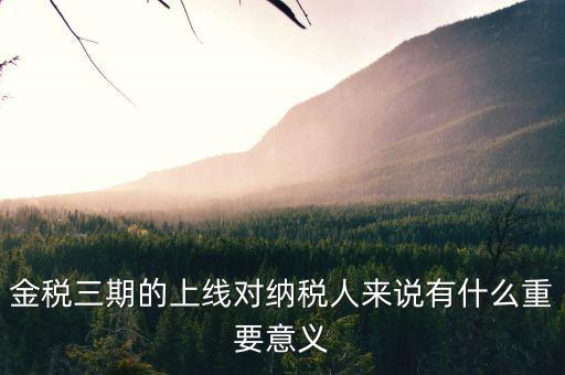 金稅三期的重點(diǎn)是什么意思，金稅三期是什么意思