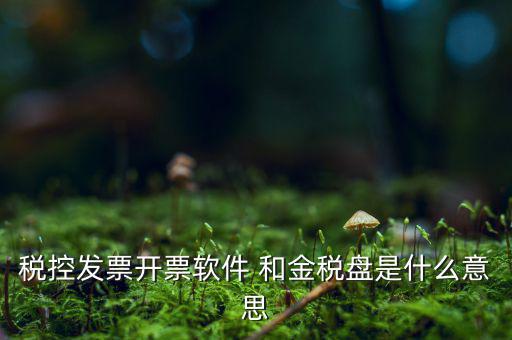稅控系統(tǒng)指什么，稅控發(fā)票開(kāi)票軟件 和金稅盤是什么意思