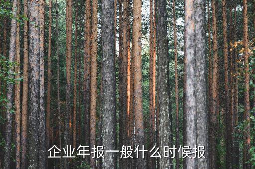 財(cái)務(wù)年報(bào)什么時(shí)候報(bào)，企業(yè)財(cái)務(wù)會(huì)計(jì)報(bào)告什么時(shí)間出具
