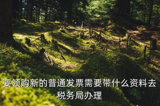 發(fā)票領(lǐng)購本需要帶什么，去國稅局報稅需要發(fā)票領(lǐng)購簿嗎都需要帶什么大神們幫幫忙