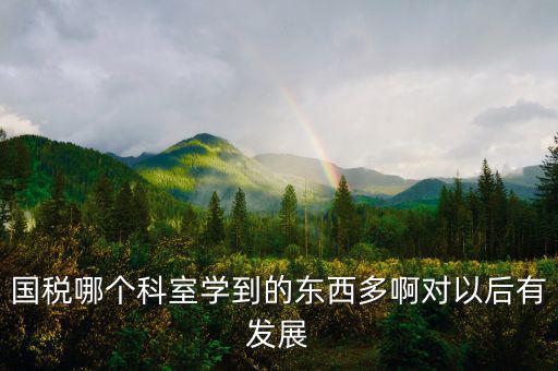 國稅有什么科室，國稅哪個科室學(xué)到的東西多啊對以后有發(fā)展