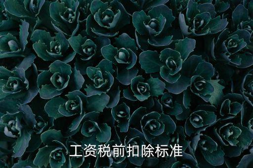 什么是稅前扣除標準，請問差旅費稅前扣除標準是什么