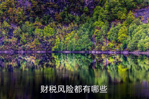 財稅問題有什么，請教財稅的基礎(chǔ)問題謝謝很簡單的