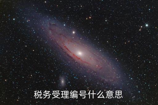 稅務受理編號什么意思